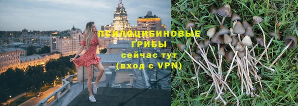 прущая мука Арсеньев