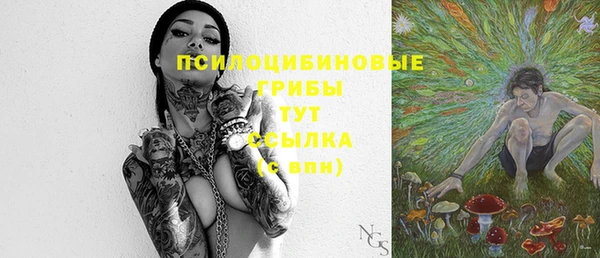 прущая мука Арсеньев