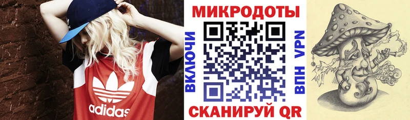 Галлюциногенные грибы мухоморы  Бакал 